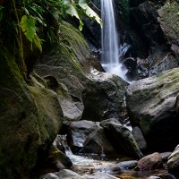 Wasserfall auf Sumatra
Batang Serangan; Sumatera Utara