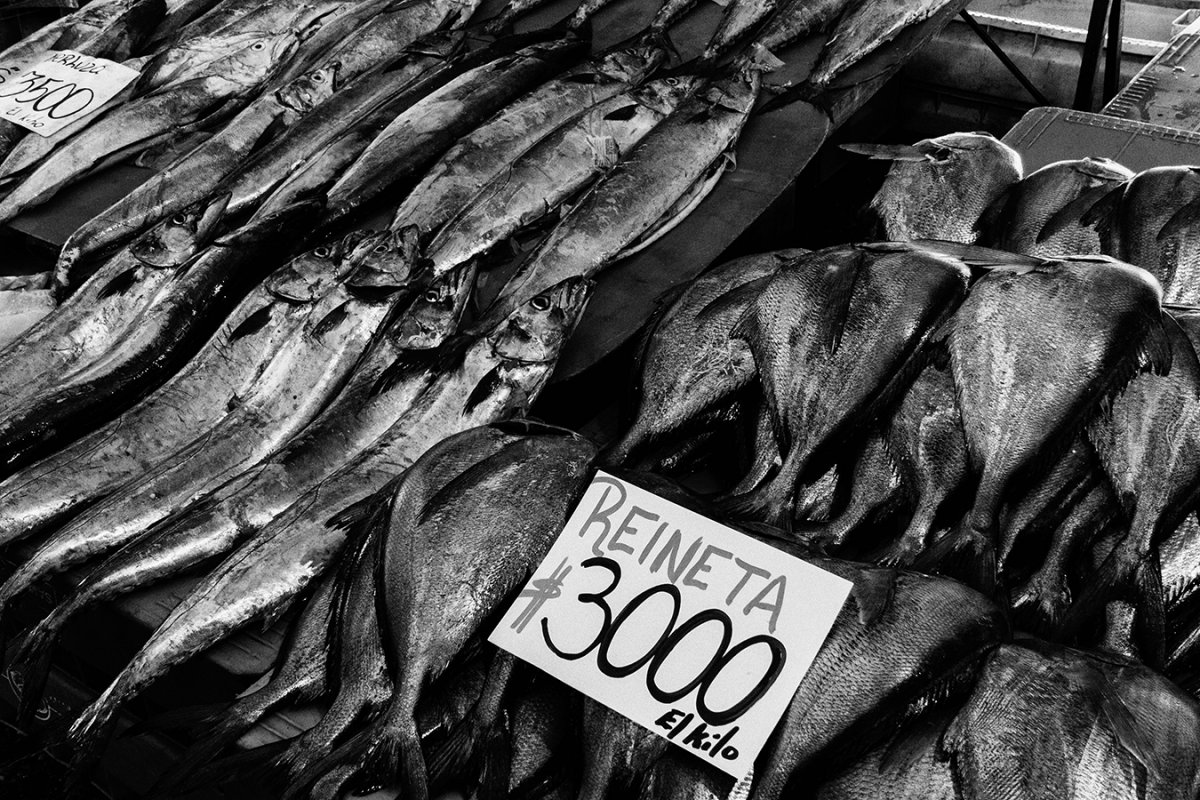Fischmarkt in Valdivia, Chile