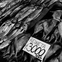 Fischmarkt in Valdivia, Chile